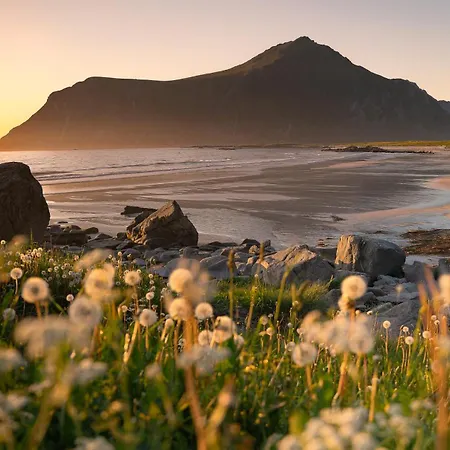 Lofoten Lightscape Retreat Lodge