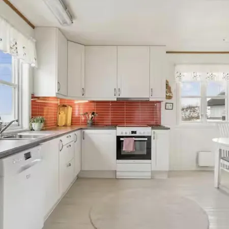 Lofoten Lightscape *