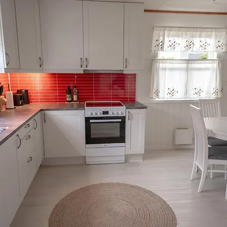 Lofoten Lightscape Lodger *