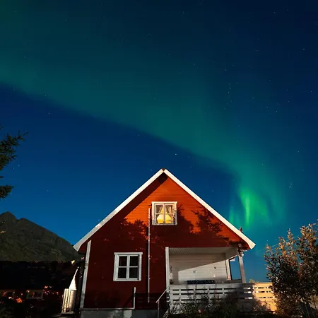 Lofoten Lightscape *