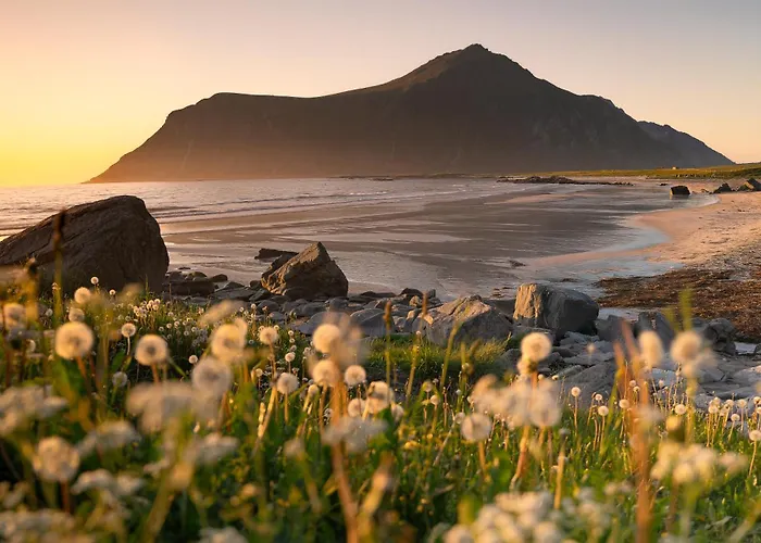 Lofoten Lightscape Domek letniskowy