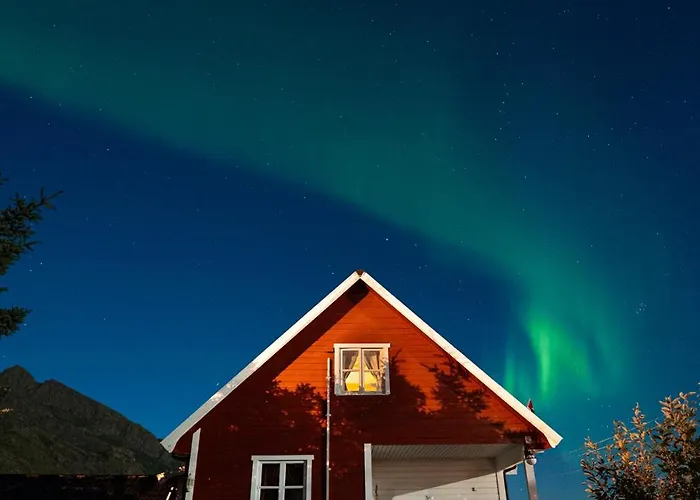 Lofoten Lightscape *